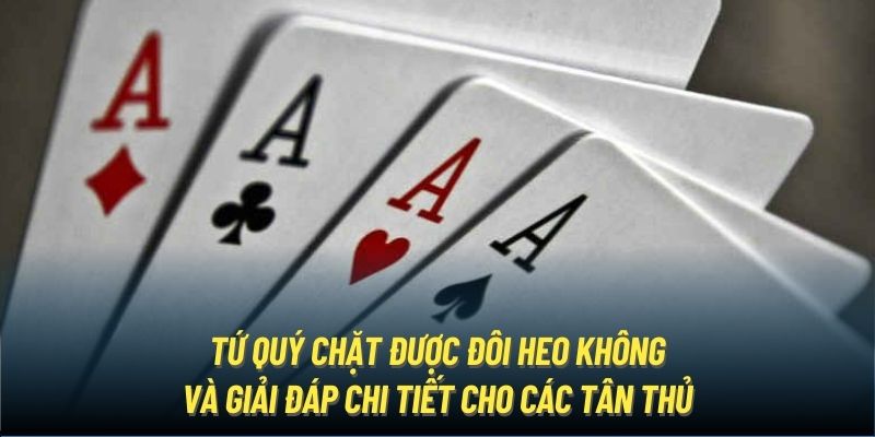 Tứ quý chặt được đôi heo không và giải đáp chi tiết cho các tân thủ